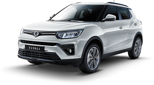 Auto Ssang Yong