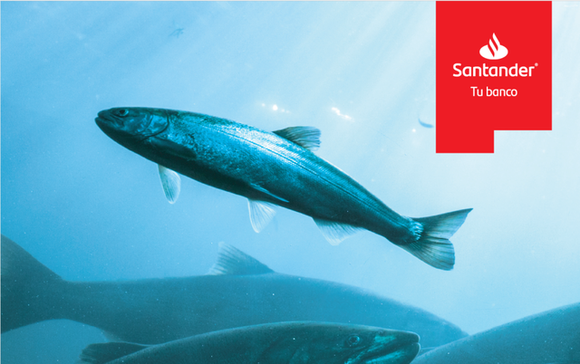 Santander Asset Management es la AGF más distinguida de los Premios Salmón 2021