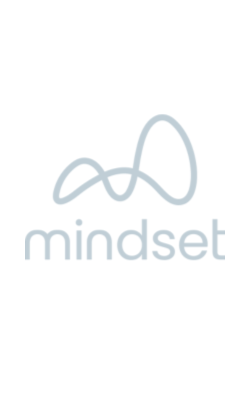 Mindset logo