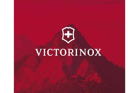 Logo_VX_para_Santander_500x_800_margen_de_400x700_Mesa_de_trabajo_1.jpg