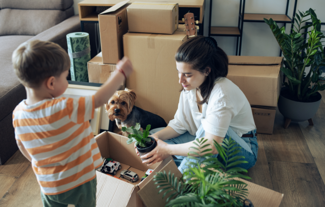 Subsidio a la tasa hipotecaria: Santander presentará en Expo Vivienda su oferta de créditos con dividendos un 15% más bajos
