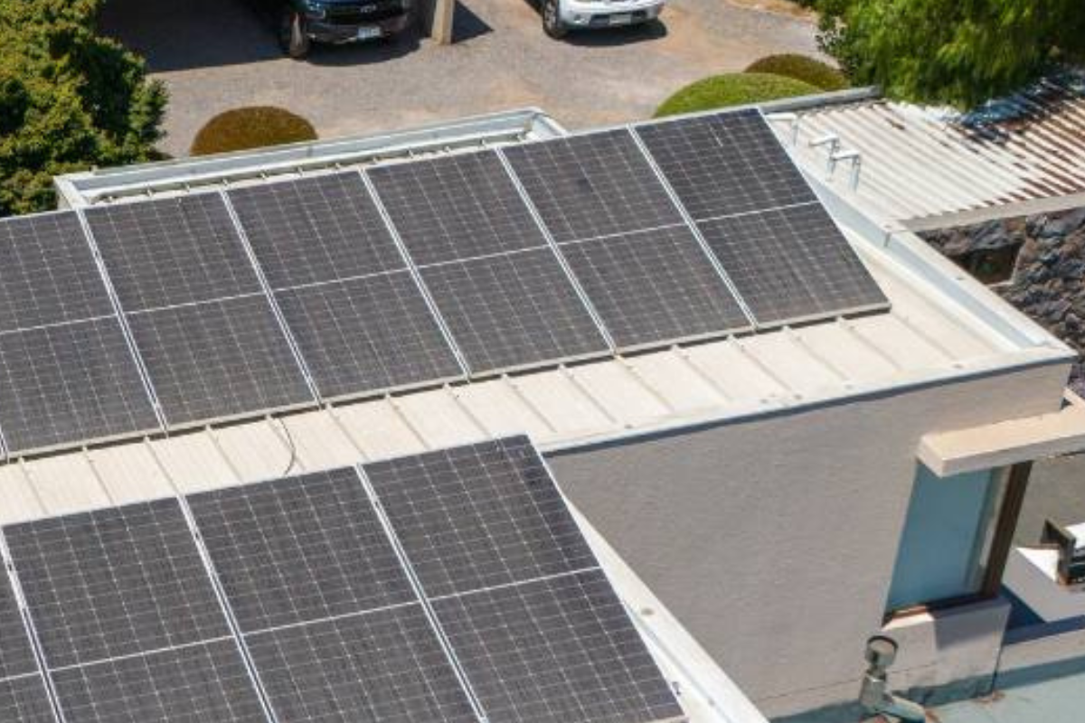 En la foto: Productos Zenit 90